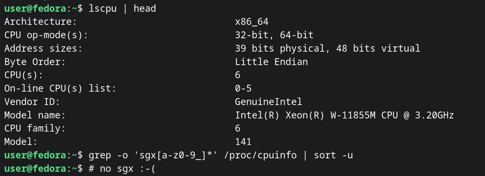 Thinkpad X13 specs in CLI